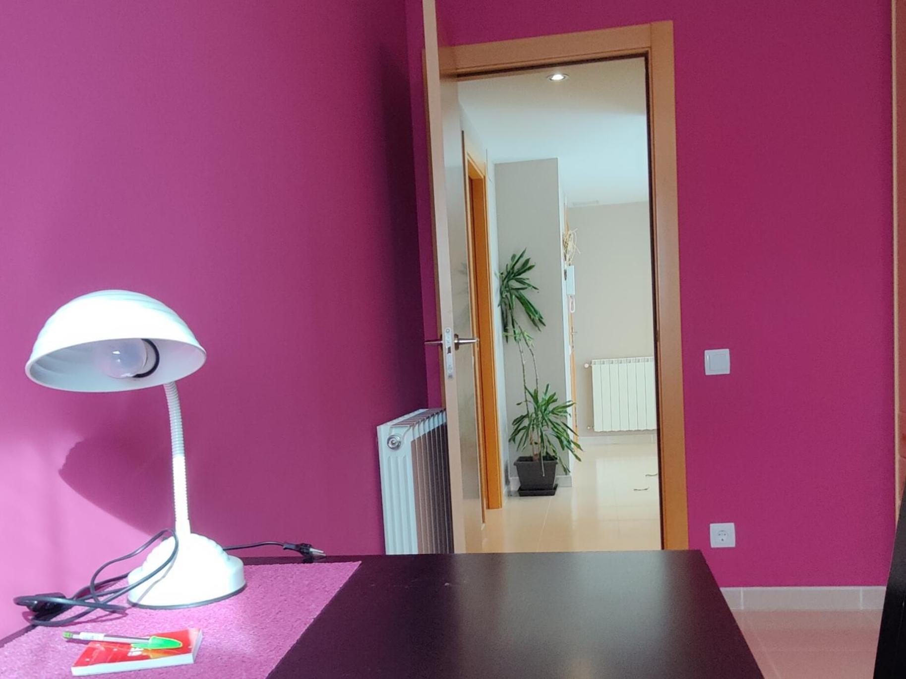 Ca L'Esmolet Daire Tremp Dış mekan fotoğraf
